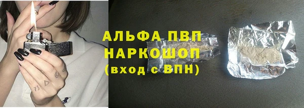 стаф Арсеньев
