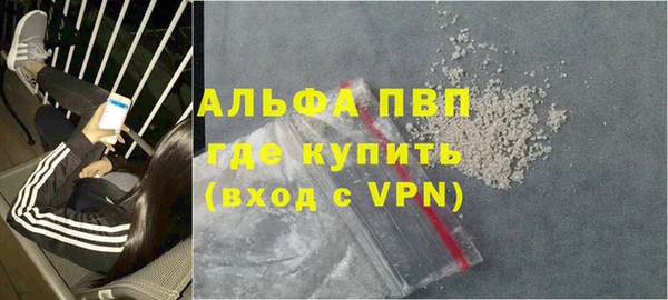 стаф Арсеньев