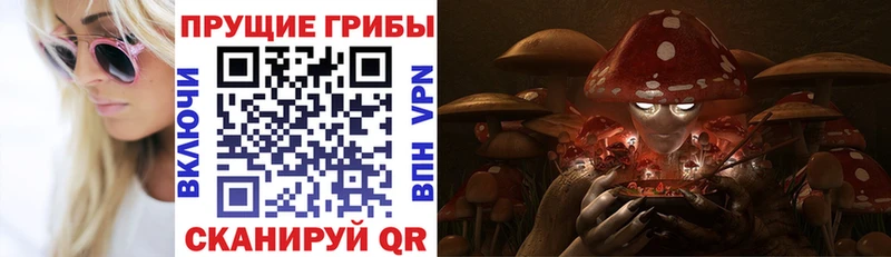 Псилоцибиновые грибы прущие грибы  Зубцов 